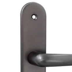 Sale 2 poignées de porte sur plaque rond Amga, entraxe 195mm, coloris titane