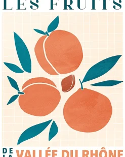 Online Dada Art Affiche Abricot fruits l.40 x H.50 cm orange et bleu