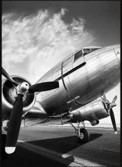 Dada Art Affiche avion noir et blanc L.50 x H.70cm* Affiche