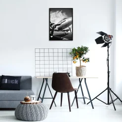 Dada Art Affiche avion noir et blanc L.50 x H.70cm* Affiche