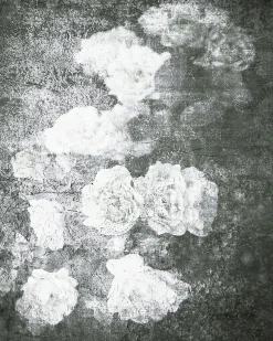 Sale Dada Art Affiche fleurs noir et blanc 40 x 50 cm