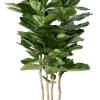Arbre figuier Lyrata multi Artificiel* Plante Artificielle