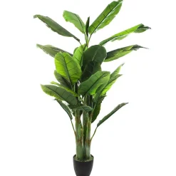 Sale Atmosphera Créateur D'Intérieur Bananier artificiel H170 cm - Atmosphera