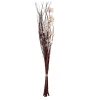 Sale Ornami Bouquet de fleurs séchées 100cm