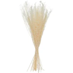 Atmosphera Bouquet de plantes séchées* Fleur Séchée