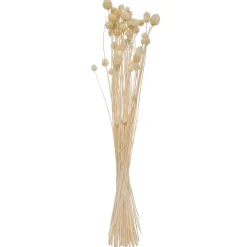 Atmosphera Bouquet de plantes séchées* Fleur Séchée