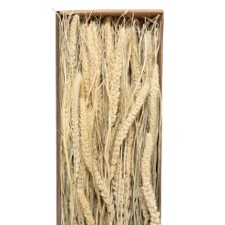 Atmosphera Créateur D'Intérieur Bouquet fleurs séchées - boîte kraft H60 cm - Jaune- Atmosphera* Fleur Séchée