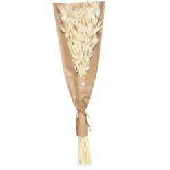 Atmosphera Créateur D'Intérieur Bouquet fleurs séchées H45 cm - Blanc- Atmosphera* Fleur Séchée