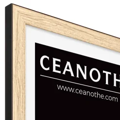 Ceanothe Cadre Newton noir l.13 x H.18 cm