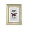 Online Emdedesign Cadre photo effet bois clair l.10 x H.15 cm Emde