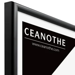 Ceanothe Cadre photo essentiel exposition noir 30x40 cm Fabriqué en France* Cadre 30 X 40 Cm - A3|Cadre