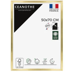 Ceanothe Cadre photo julia doré 50x70 cm Fabriqué en France* Cadre 50 X 70 Cm|Cadre