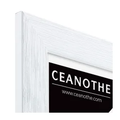 Ceanothe Cadre photo karma blanc 18x24 cm Fabriqué en France* Cadre 18 X 24 Cm