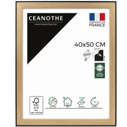 Clearance Ceanothe Cadre photo loft noir 40x50 cm Fabriqué en France
