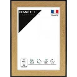 Ceanothe Cadre photo loft noir 10x15 cm Fabriqué en France* Cadre 10 X 15 Cm
