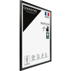 Ceanothe Cadre photo pandore noir argent 50x70 cm Fabriqué en France