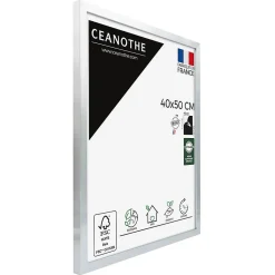 Ceanothe Cadre photo precious acier 40x50 cm Fabriqué en France* Cadre 40 X 50 Cm