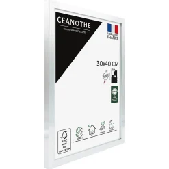 Outlet Ceanothe Cadre photo precious acier 30x40 cm Fabriqué en France
