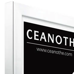 Outlet Ceanothe Cadre photo precious acier 30x40 cm Fabriqué en France