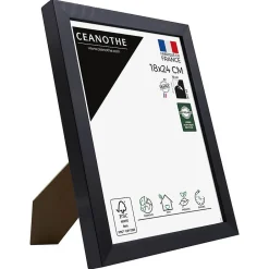 Sale Ceanothe Cadre photo precious carbone 18x24 cm Fabriqué en France