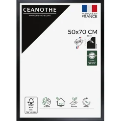 Ceanothe Cadre photo precious carbone 50x70 cm Fabriqué en France* Cadre 50 X 70 Cm|Cadre