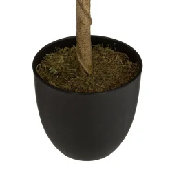 Atmosphera Créateur D'Intérieur Citronnier artificiel H70 cm - Atmosphera* Plante Artificielle