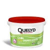 Discount Quelyd Colle papier peint avec indicateur coloré 5kg