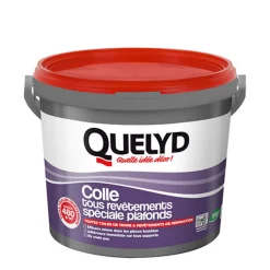 Quelyd Colle spéciale plafonds - toile de verre et revêtements de rénovation pâte 6kg* Colle Papier Peint