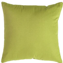 Deko & Co Coussin vert anis 50x50 déhoussable* Coussin