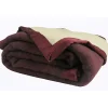 Home Maison Couverture Pure Laine Vierge 600g/m2 bicolore (240x300 cm - Prune)* Plaid Laine