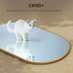 Best EMKE Miroir mural 60 x 100 cm Miroir ovale avec cadre doré, Miroir non lumineux salle de bain
