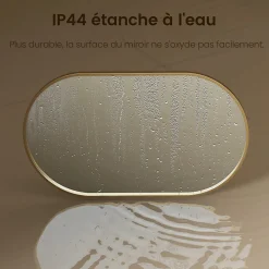 Best EMKE Miroir mural 60 x 100 cm Miroir ovale avec cadre doré, Miroir non lumineux salle de bain