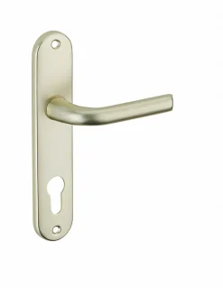 Thirard Ensemble de poignées pour porte d'entrée Leto trou de cylindre, carré 7mm, entr'axes 165mm, couleur F2 -* Poignée Sur Plaque|Poignée De Porte Intérieure