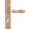 Thirard Ensemble de poignées pour porte d'entrée Themis trou de cylindre, carré 7mm, entr'axes 195mm, bois brut -* Poignée Sur Plaque