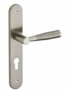 Thirard Ensemble de poignées pour porte d'entrée Helios trou de cylindre, carré 7mm, entr'axes 195mm, nickelé brossé -* Poignée Sur Plaque|Poignée De Porte Intérieure