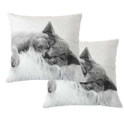 Best Cmadeco Lot de 2 Coussins déhoussables Chat, carré 40x40cm, Collection Vickie,