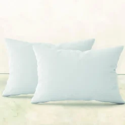 Discount Vivezen Lot de 2 oreillers, coussins de garnissage - 40 x 60 cm - Blanc -
