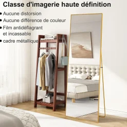 Discount ProximaX Miroir autoportant rectangulaire 173x63 cm, grand miroir sur pied, pose au sol ou fixation murale, Doré