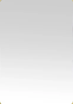 Outlet Dada Art Miroir Steelton l.50 x H.70 cm doré
