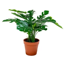 Sale House Nordic Monstera Deliciosa artificiel 45 cm