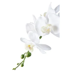 Hot House Nordic Orchidée artificielle réaliste verte et blanche - Plante décorative de 49 cm