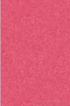 Discount A.S. Creation Papier peint expansé sur intissé Uni L.10.05 x l.0.53 m. - Réf. SP15566