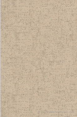 A.S. Creation Papier peint expansé sur intissé Uni L.10.05 x l.0.53 m. - Réf. SP15553* Papier Peint Uni|Papier Peint Pour Cuisine