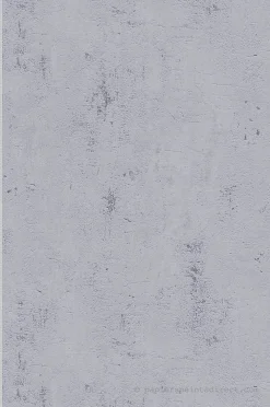 A.S. Creation Papier peint expansé sur intissé Trompe l'oeil L.10.05 x l.0.53 m. - Réf. SP15550* Papier Peint Imitant