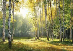 Wallarena Papier Peint Intissé Panoramique Pour Chambre Cuisine 3D Forêt Vert 350x250* Papier Peint Panoramique