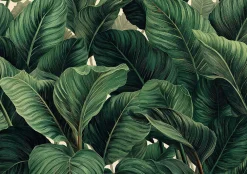 Wallarena Papier Peint Panoramique Intissé Feuilles Jungle Vert - 350x250 cm - Papier Peint Chambre et salon* Papier Peint Panoramique