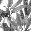 Grandeco Papier peint panoramique palmes noir et blanc L.280 x l.159 cm* Papier Peint Noir Et Blanc
