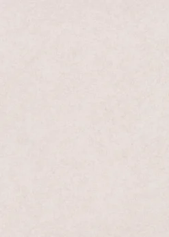 Erismann Papier peint vinyle intissé uni beige crème L.1005 x l.53cm, Flair* Papier Peint Uni