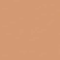 Best GoodHome Papier peint vinyle intissé uni orange terracotta L.53 x l.1005 cm Aune