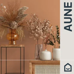 Best GoodHome Papier peint vinyle intissé uni orange terracotta L.53 x l.1005 cm Aune